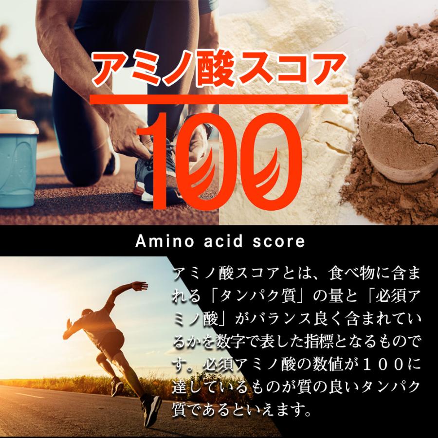 ホエイプロテイン 1kg 選べる (ココア/ベリーミックス/抹茶ラテ/ビターチョコ/カフェラテ）スプーン付 国内製造 プロテイン タンパク質 アミノ酸 ダイエット Y｜aemotion｜14