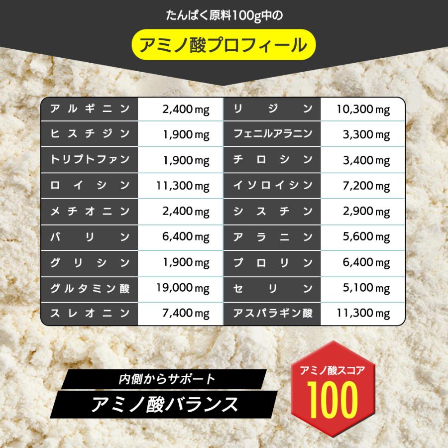 WPI ホエイプロテイン 1kg プロテイン スプーン付 人工甘味料不