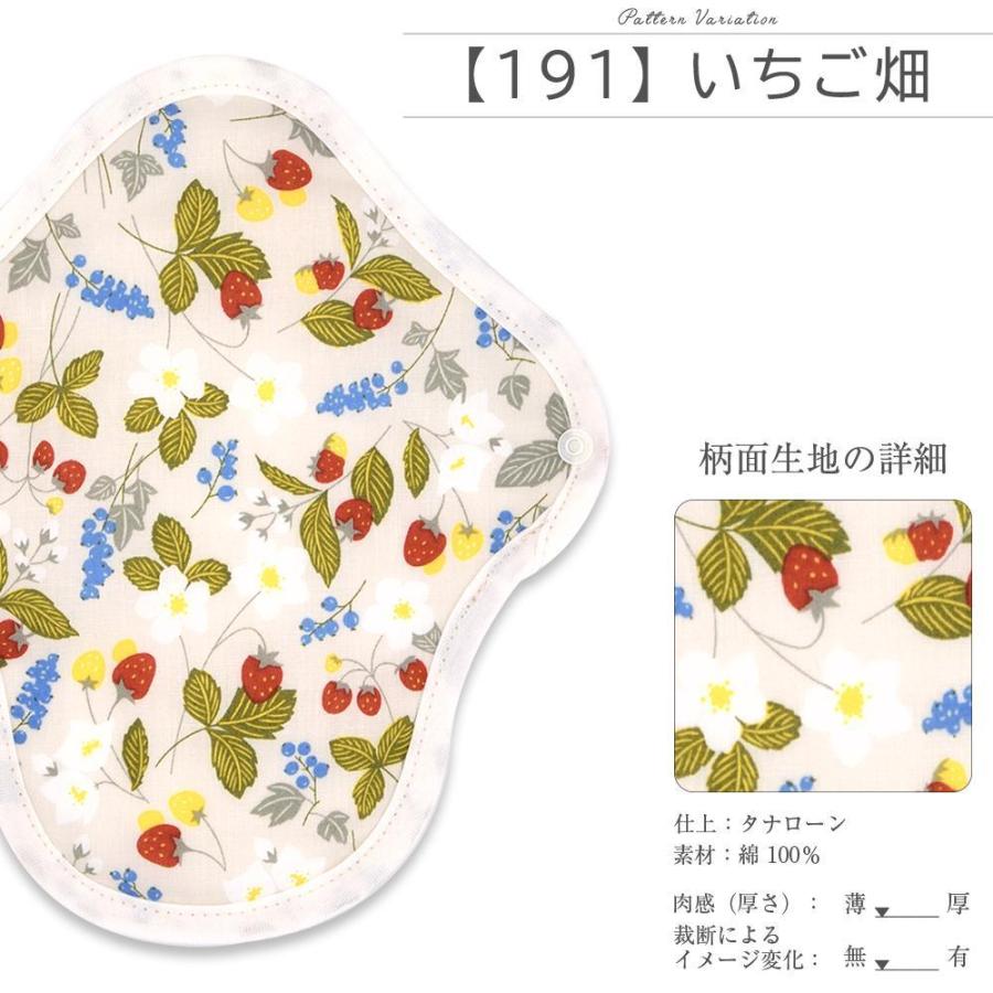 エニュアンス（AENUANCE） 布ナプキン お試し セット Sサイズ 防水