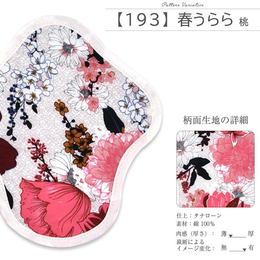 エニュアンス 布ナプキン お試し セット Sサイズ 防水 羽根つき