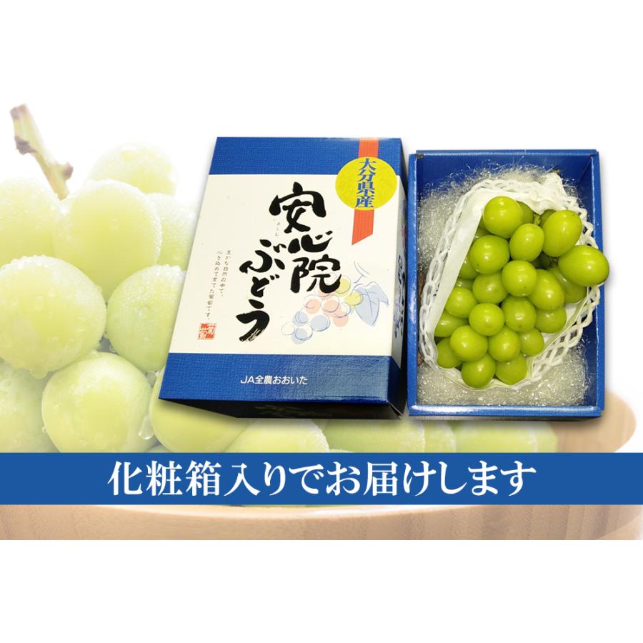 大分産　シャインマスカット　5kg シャインマスカット【大分県日田産】