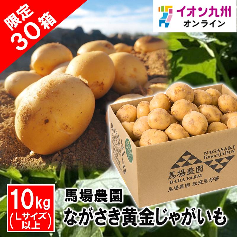 春ジャガイモ種子　ながさき黄金　10キロ 長崎県産 ながさき黄金じゃがいも Lサイズ以上 10kg : イオン九州