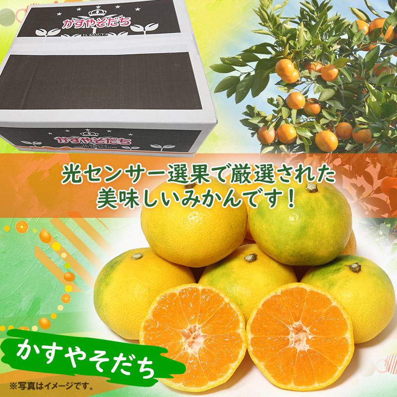 福岡県産 かすやそだちみかん M-Sサイズ 5kg箱 : イオン九州オンライン