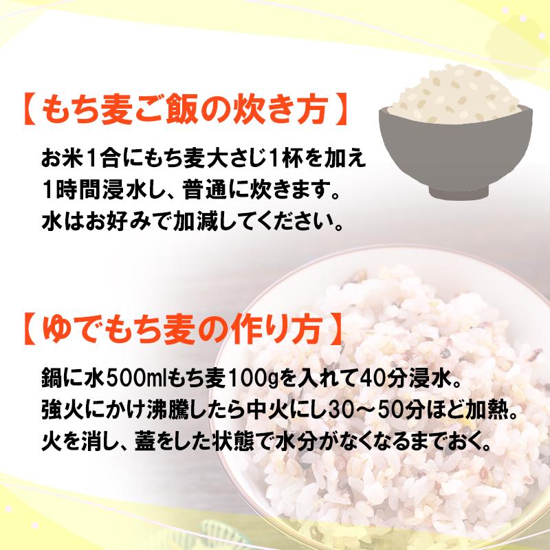 らいむ工房 むらさきもち麦 500g×2 大分県産 もち麦 もちむぎ 麦 ムギ