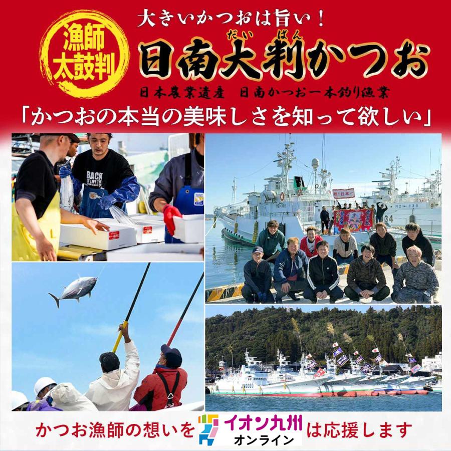 初かつお 5kg 日南大判かつお 宮崎日南産 一本釣り_1