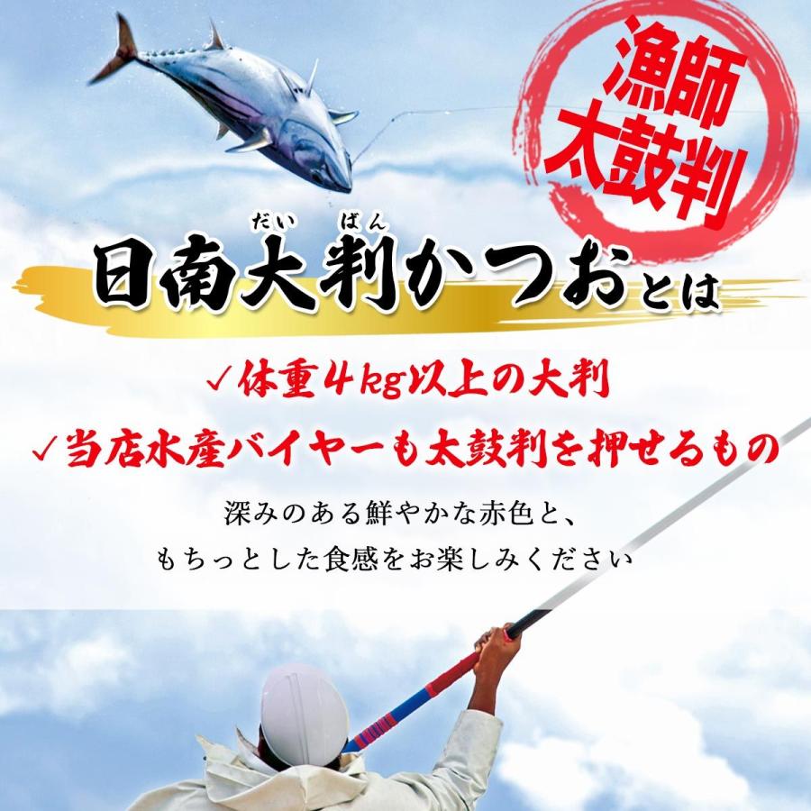 初かつお 5kg 日南大判かつお 宮崎日南産 一本釣り_2