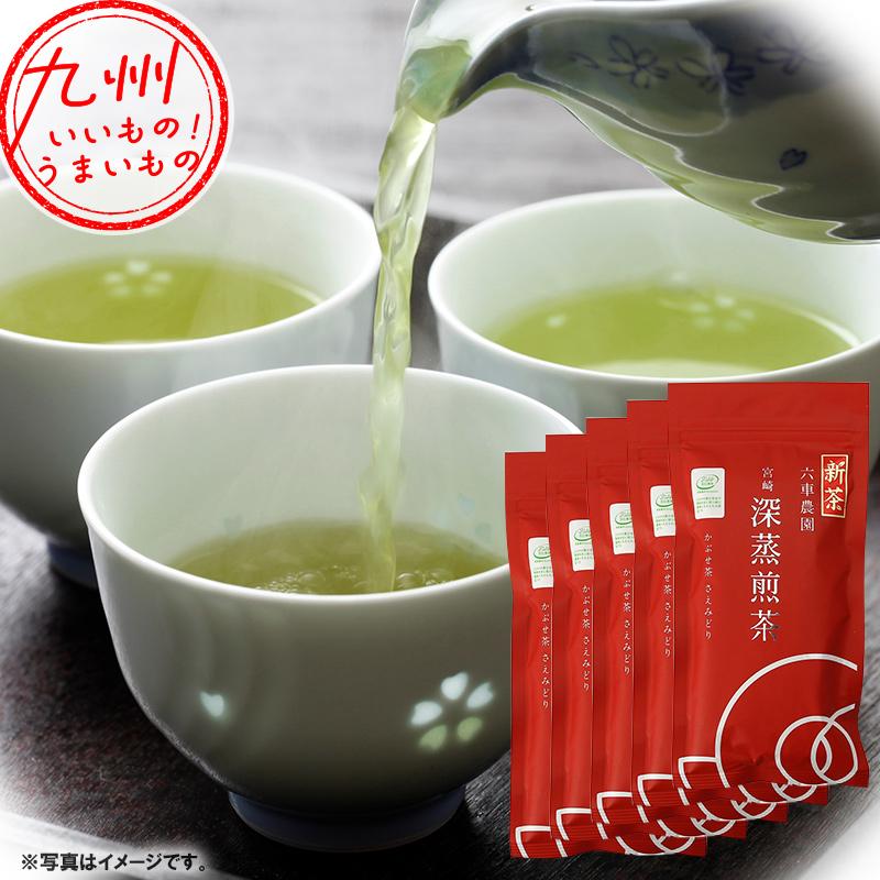 2024年度産 静岡茶 深蒸し茶100g5袋 日本茶緑茶煎茶 深蒸し茶 静岡茶