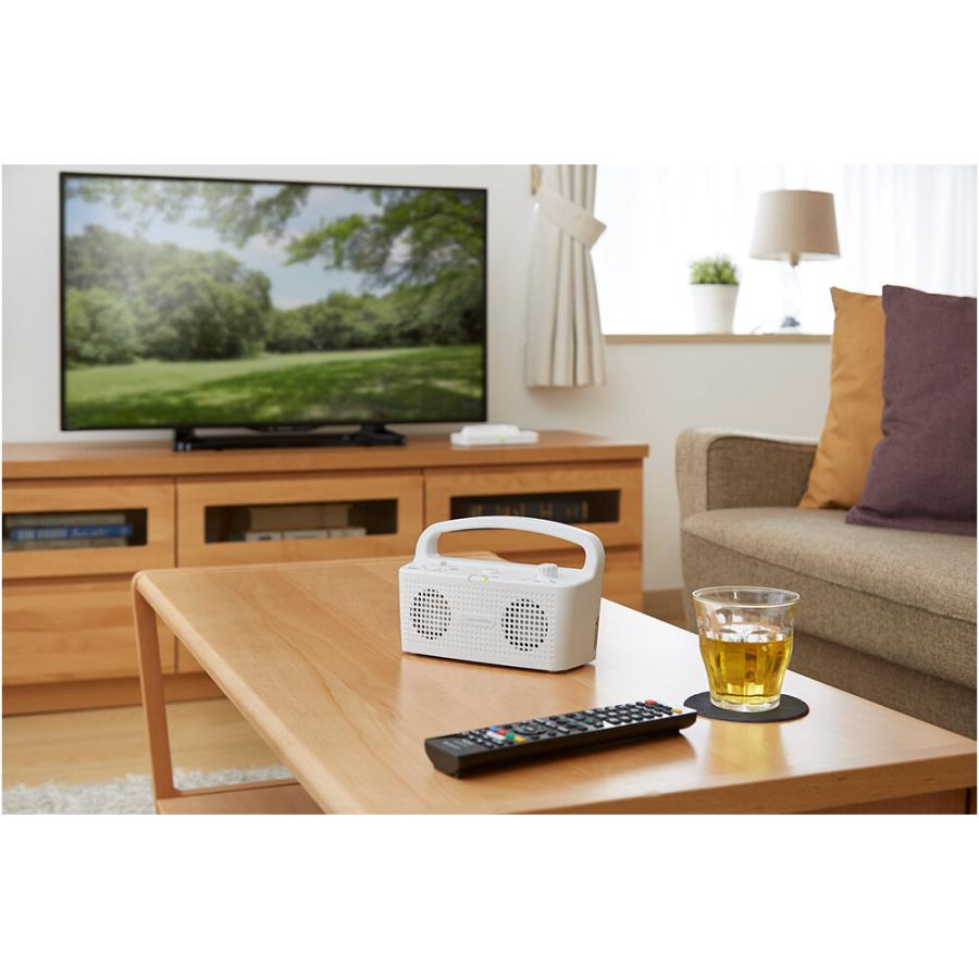 えふよん 様極美品‼️オーディオテクニカ Sound Assist オーディオテクニカ audio-technica SOUND ASSIST テレビ用 お