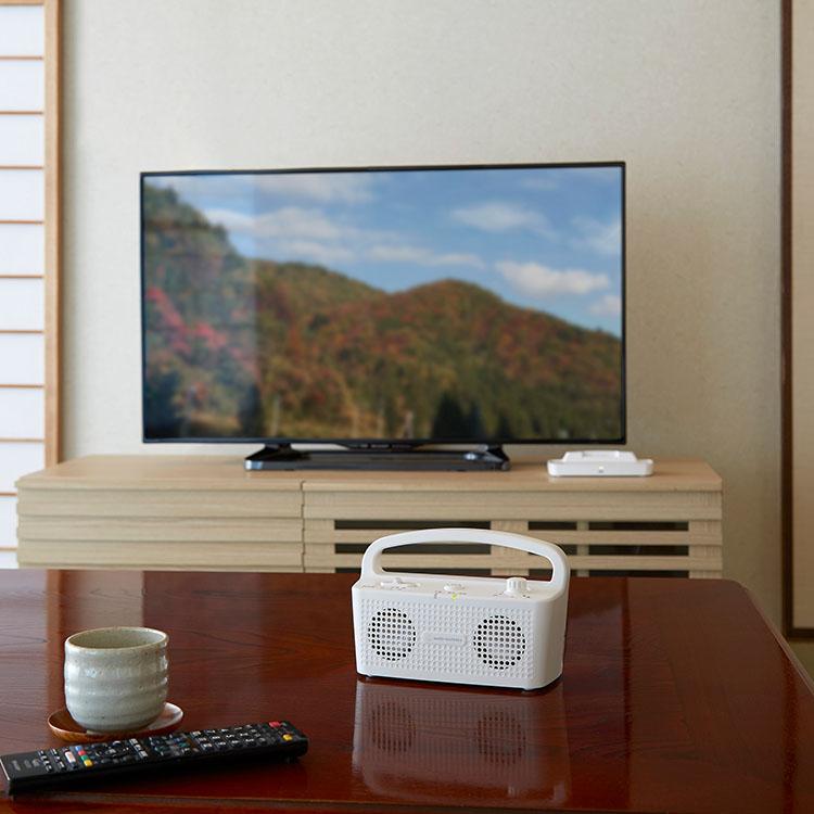 オーディオテクニカ audio-technica SOUND ASSIST テレビ用 お手元テレビスピーカー ワイヤレス AT-SP767XTV｜aeonstyle｜10