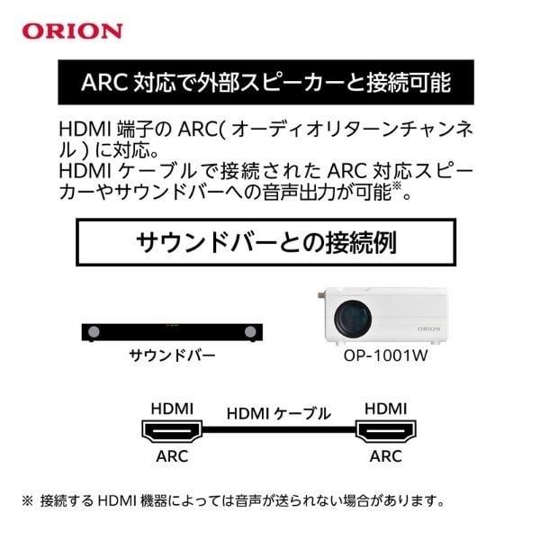 オリオン電気（ドウシシャ） ORION テレビチューナー付き