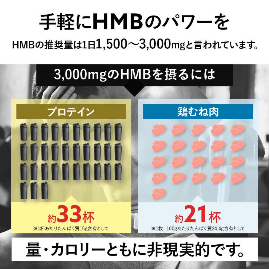 HMB サプリメント バルクヒーロー/12袋セット 高純度HMB90000mg 国内 