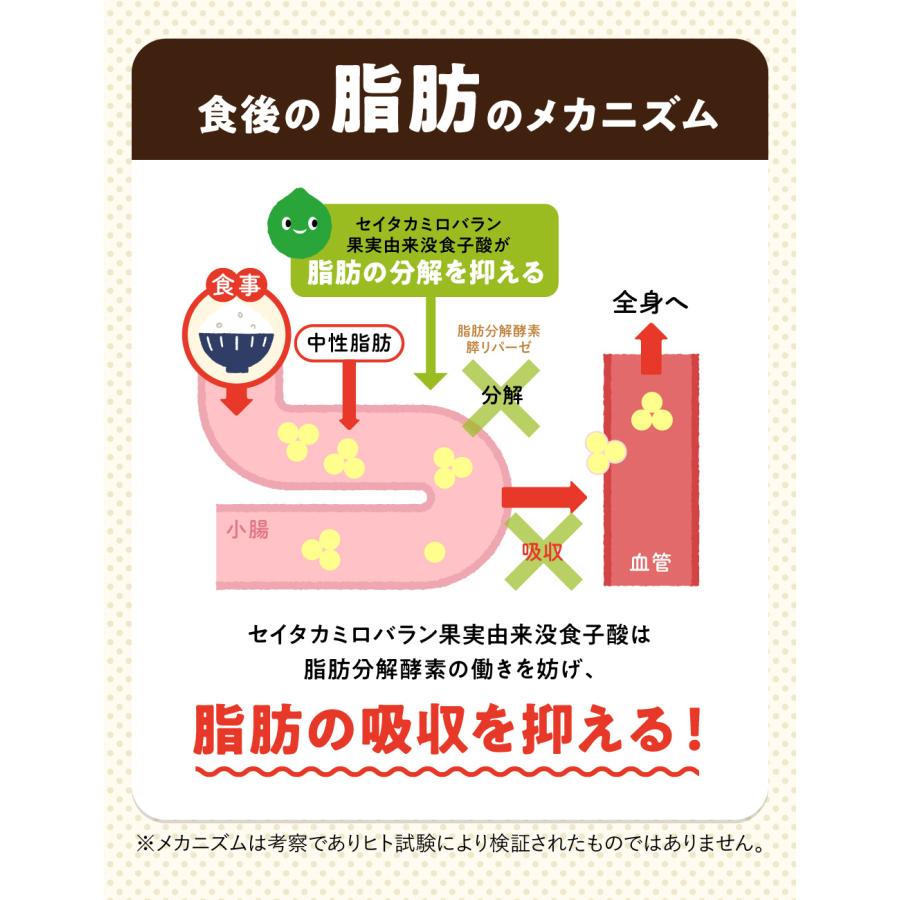 aequalis 脂肪や糖の吸収を抑える ダイエットサポートサプリ