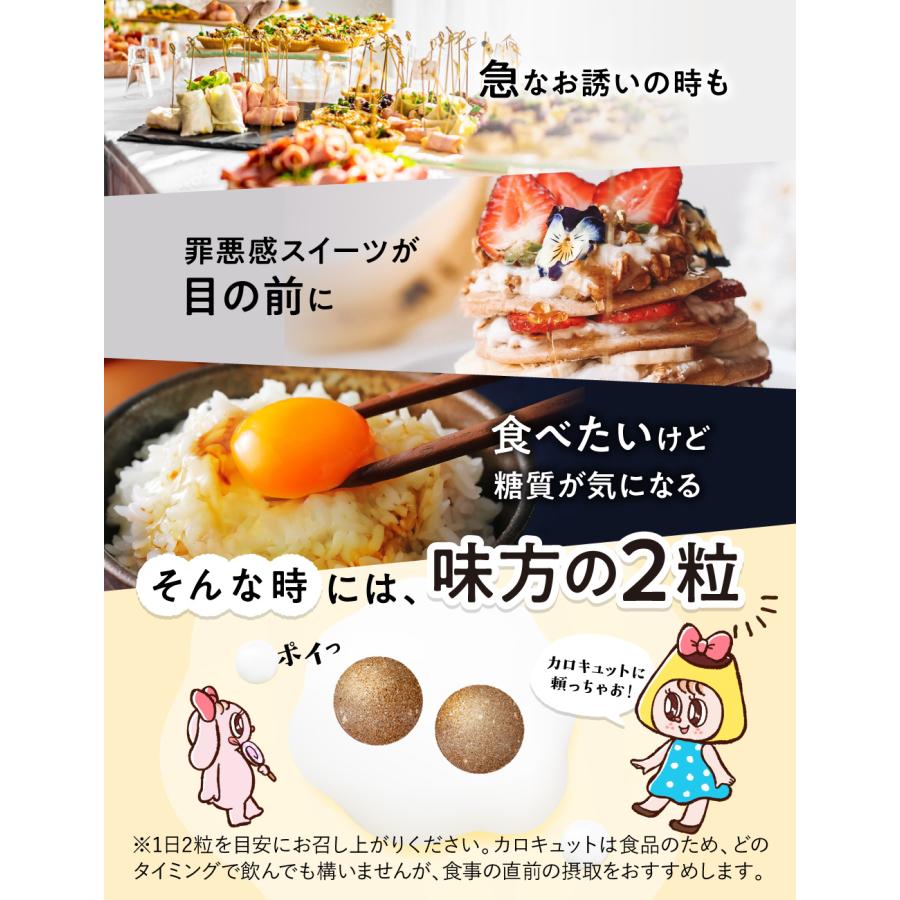 aequalis 脂肪や糖の吸収を抑える ダイエットサポートサプリ aequalis 脂肪や糖の吸収を抑える ダイエットサポートサプリ