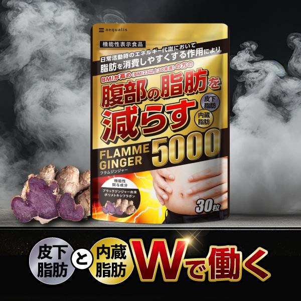 フラムジンジャー 機能性表示食品 腹部の脂肪（内臓脂肪と皮下脂肪）を減らす ダイエットサポートサプリ 30粒 ポイント利用 爆買（Yahoo!・イコリス公式オンラインショップYahoo!店）