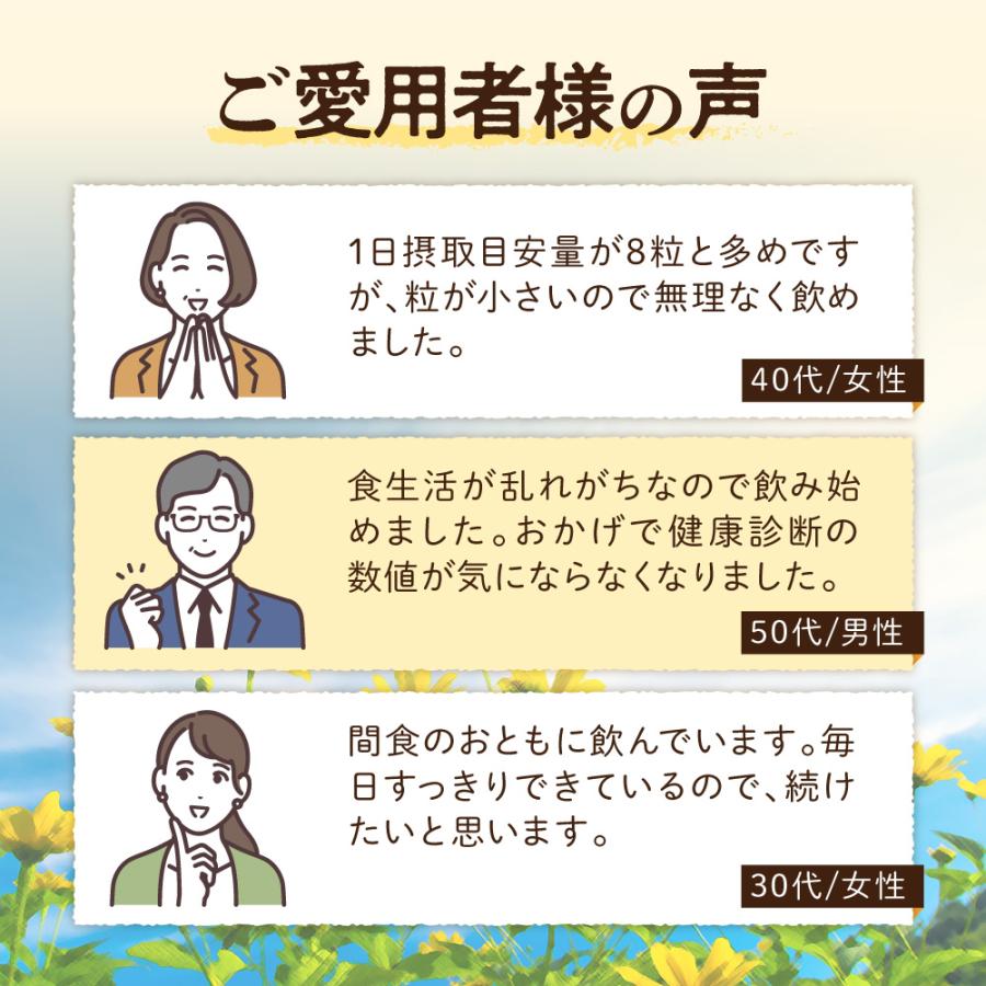 菊芋 サプリメント 菊芋生活 国産菊芋 イヌリン 51,000mg サラシア 乳酸菌 30日分 240粒入 キクイモ ポイント利用 爆買 | aequalis | 09