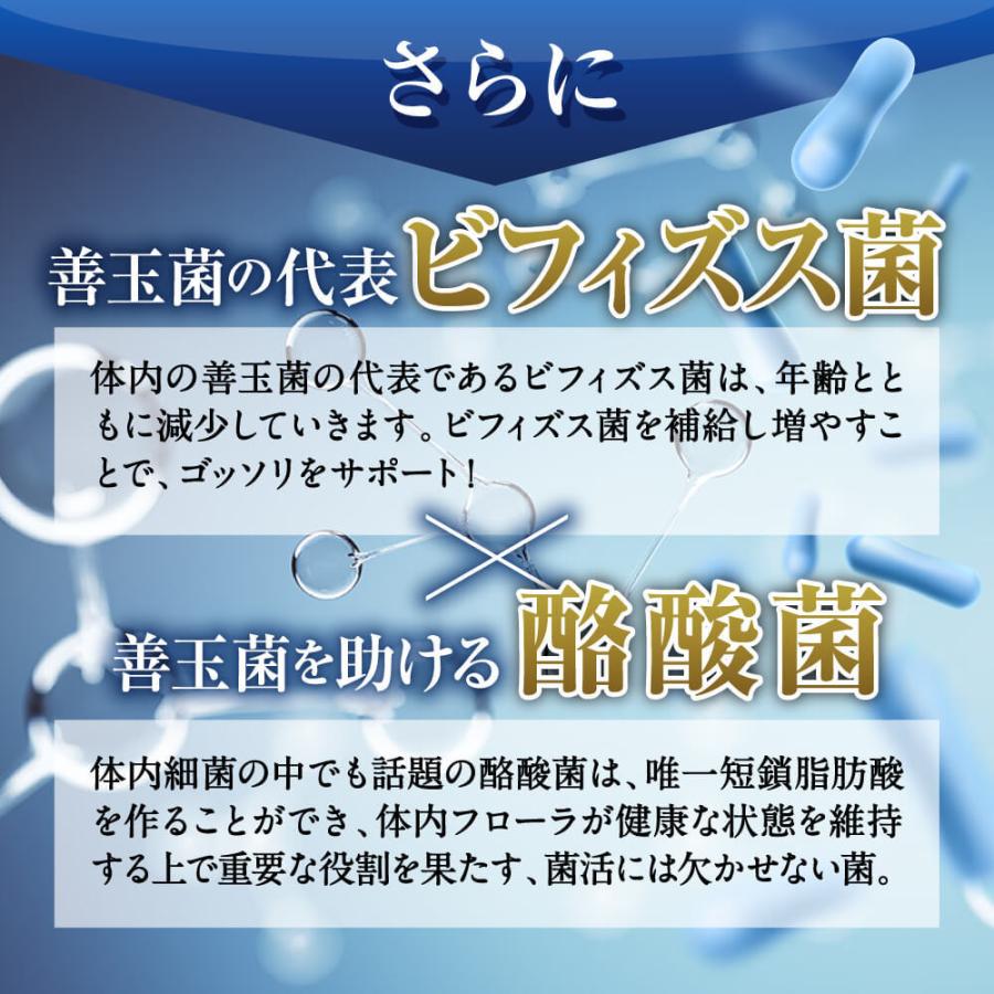 乳酸菌 サプリメント 菌活すっきり 乳酸菌10兆個 ビフィズス菌 酪酸菌 コンブチャ 酵素 オリゴ糖 菌活 プロバイオティクス 母の日 プレゼント｜aequalis｜04