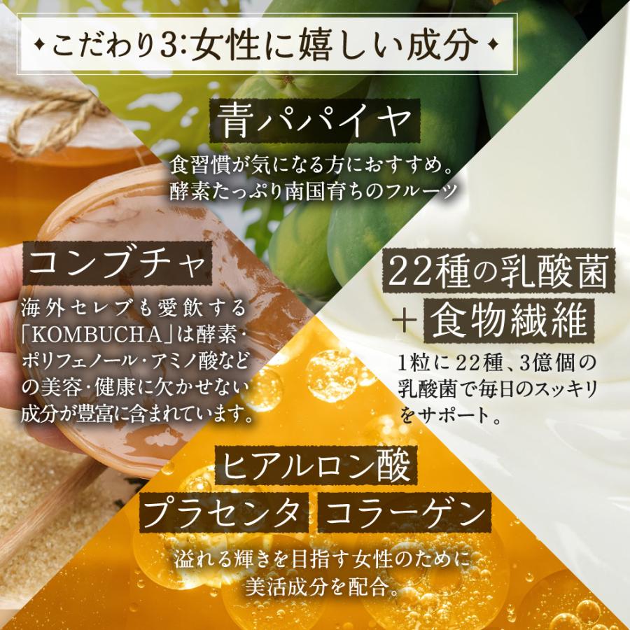 酵素 サプリ 穀物麹と野草のうるおい生酵素 コンブチャ コエンザイムQ10 乳酸菌 80種類の野草酵素 コラーゲン ヒアルロン酸 プラセンタ 送料無料 母の日｜aequalis｜06