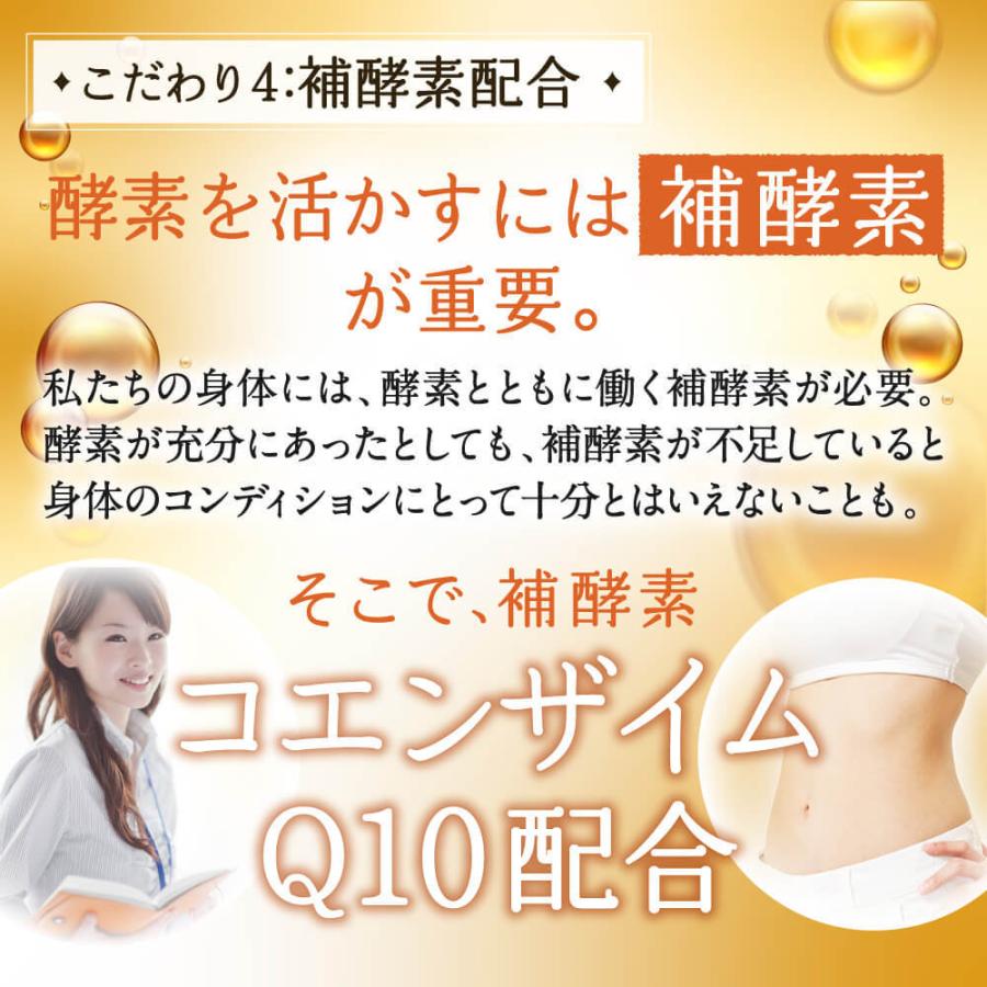 酵素 サプリ 穀物麹と野草のうるおい生酵素 コンブチャ コエンザイムQ10 乳酸菌 80種類の野草酵素 コラーゲン ヒアルロン酸 プラセンタ 送料無料｜aequalis｜07