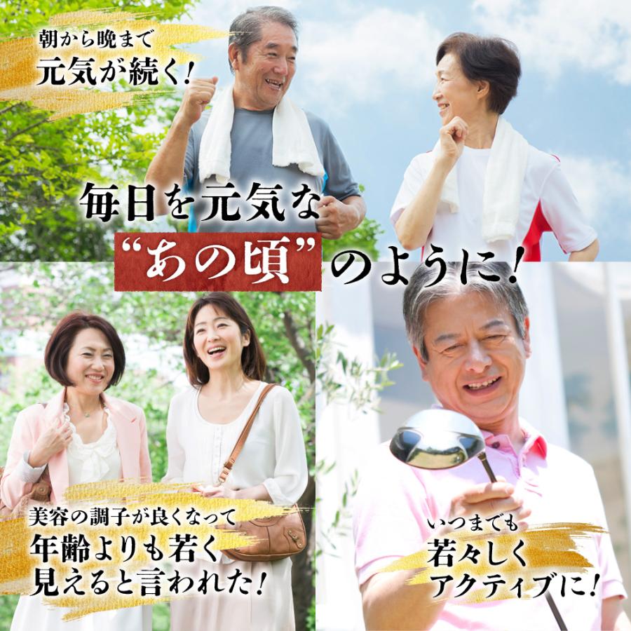 黒酢すっぽんにんにく サプリメント たっぷり贅沢卵黄 シジミ 牡蠣 7種の国産素材 30日分 120粒入 ポイント利用 爆買 | aequalis | 11