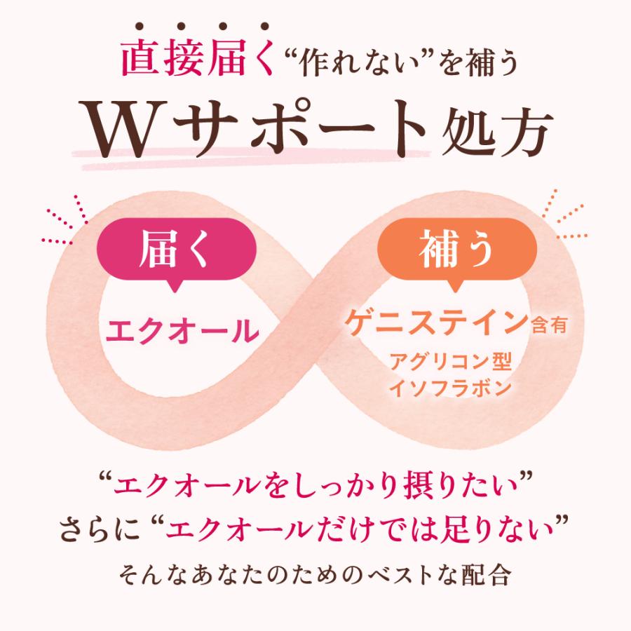 ルミエル エクオール 5mg サプリメント 30日分 マルチビタミン 鉄・亜鉛 アグリコン型イソフラボン ラクトピオン酸 さくら乳酸菌 ポイント利用 | aequalis | 04