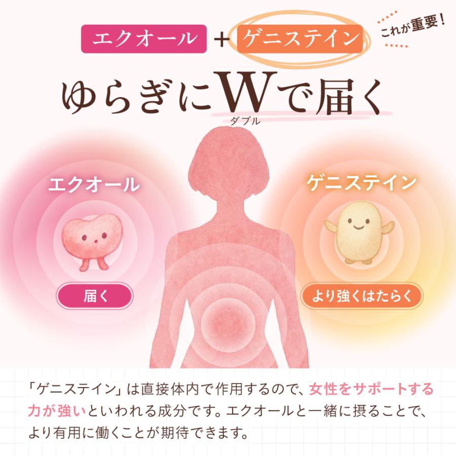 ルミエル エクオール 5mg サプリメント 30日分 マルチビタミン 鉄・亜鉛 アグリコン型イソフラボン ラクトピオン酸 さくら乳酸菌 ポイント利用 | aequalis | 05