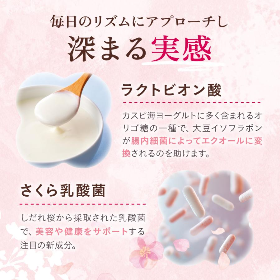 ルミエル エクオール 5mg サプリメント 30日分 マルチビタミン 鉄・亜鉛 アグリコン型イソフラボン ラクトピオン酸 さくら乳酸菌 ポイント利用 | aequalis | 07