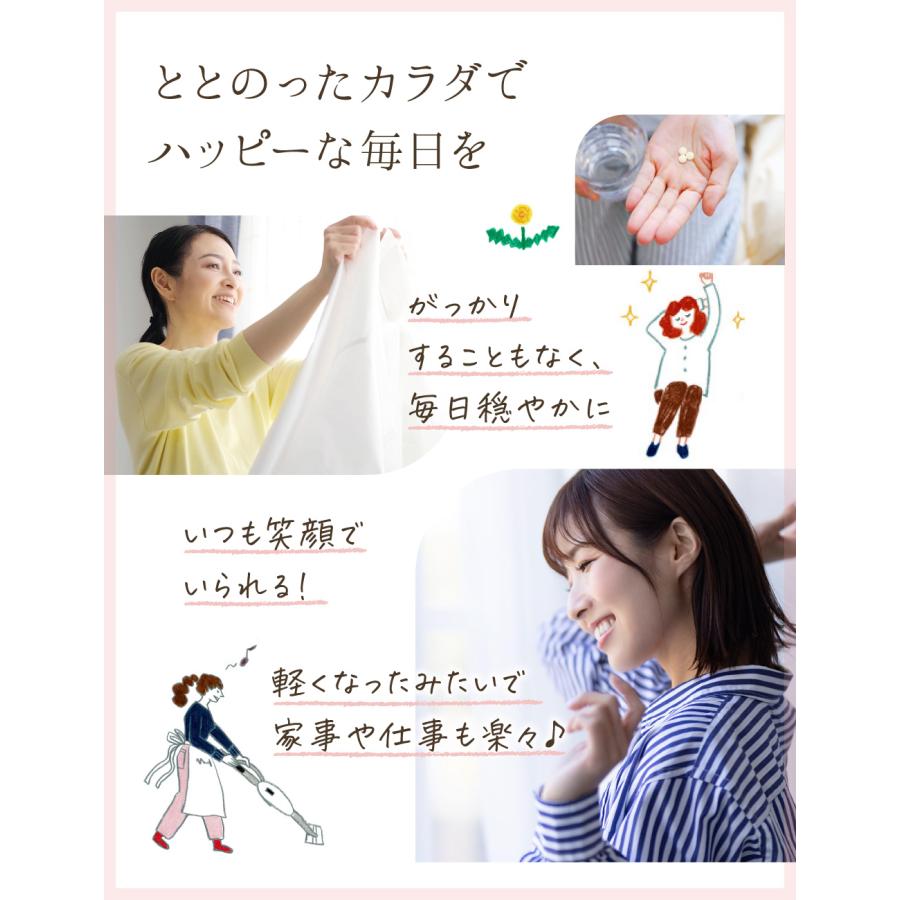 イソフラボン サプリ ルミエル プレエクオール サプリメント 大豆イソフラボン 和漢 マルチビタミン 女性のゆらぎ 30日分 爆買 母の日 | aequalis | 09