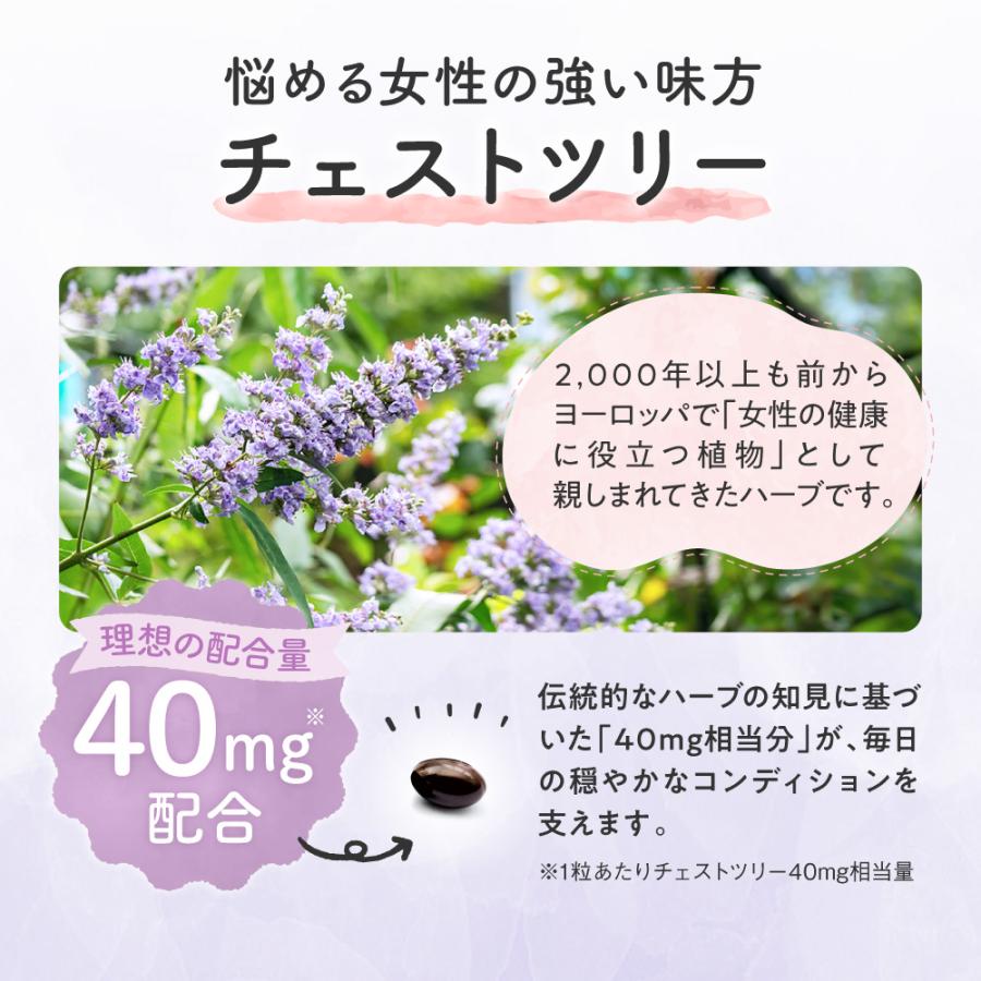 チェストツリー チェストベリー 葉酸 サプリメント ルミエル 鉄 月見草 プラセンタ 亜麻仁油 栄養機能商品 ポイント利用 爆買 | aequalis | 06
