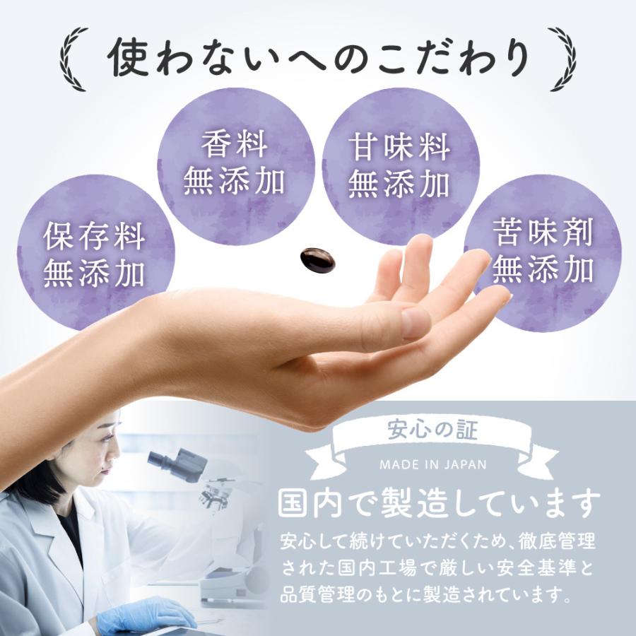 チェストツリー チェストベリー サプリメント ルミエル 葉酸 鉄 月見草 プラセンタ 亜麻仁油 栄養機能商品 送料無料 Lumiere 01 イコリスオンラインショップ 通販 Yahoo ショッピング