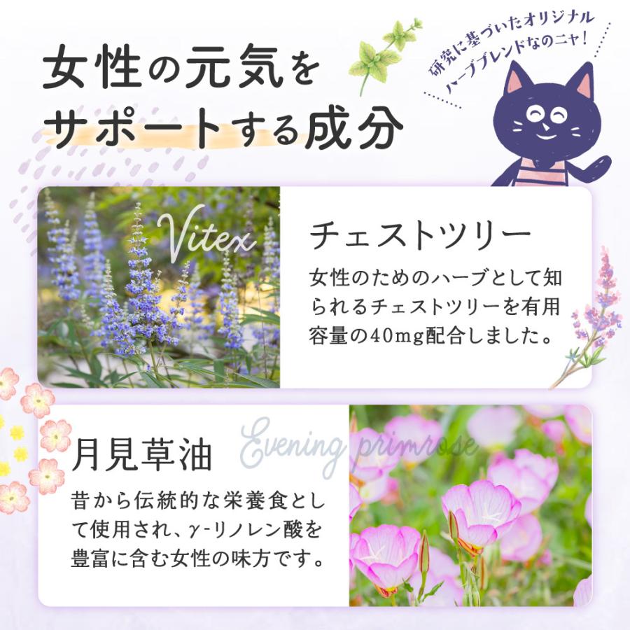 aequalis チェストツリー チェストベリー サプリメント Lumiere