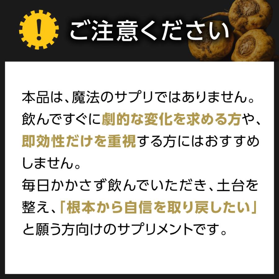 マカの活力 マカ サプリ 亜鉛 50倍濃縮 アルギニン シトルリン ビタミンB 国内製造 30日分 | aequalis | 10