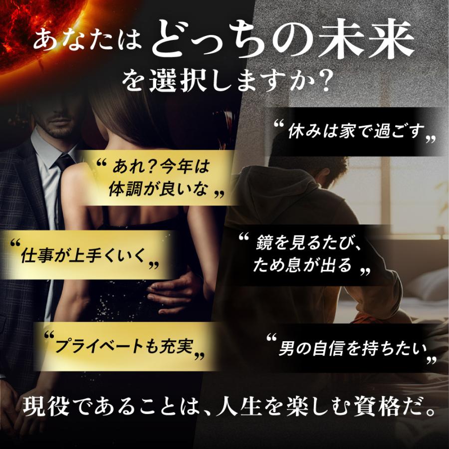 マカの活力 マカ サプリ 亜鉛 50倍濃縮 アルギニン シトルリン ビタミンB 国内製造 30日分 | aequalis | 12