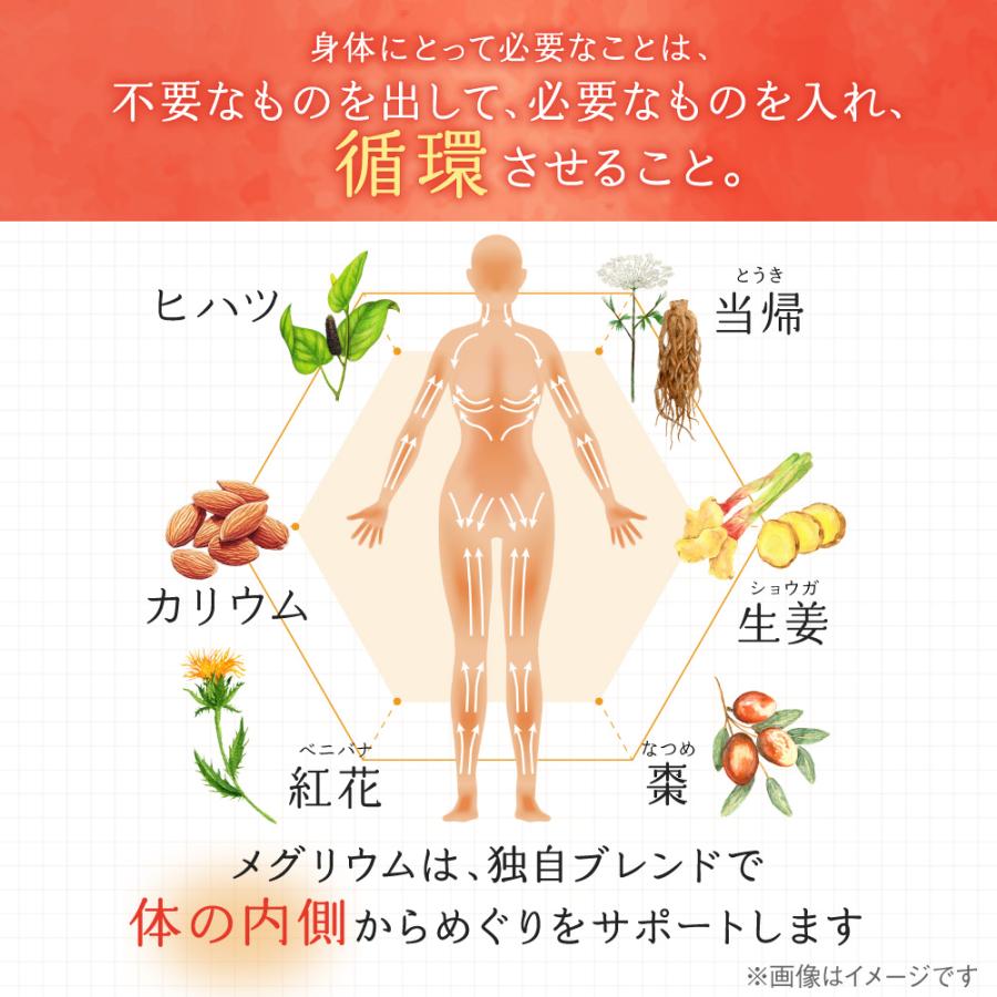 カリウム サプリ ヒハツ サプリ 塩化カリウム1300mg メグリウム ショウガ ナツメ ヨーロッパトウキ 紅花 栄養機能食品 国内製造 300粒 約1ヶ月分 爆買 | aequalis | 04