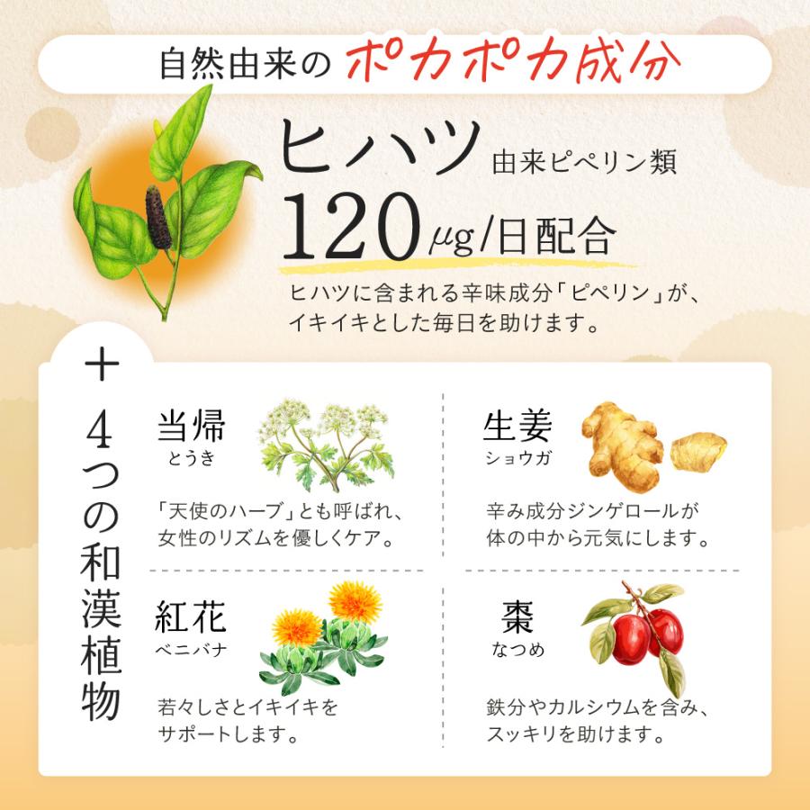 カリウム サプリ ヒハツ サプリ 塩化カリウム1300mg メグリウム ショウガ ナツメ ヨーロッパトウキ 紅花 栄養機能食品 国内製造 300粒 約1ヶ月分 爆買 | aequalis | 06