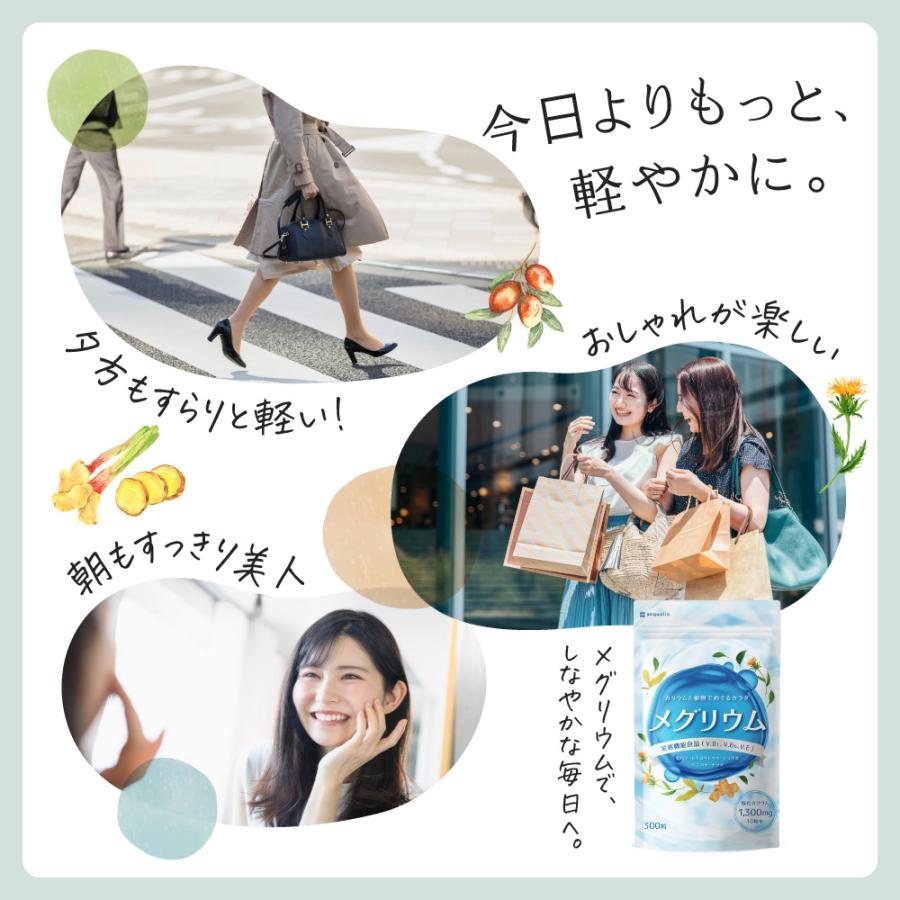 カリウム サプリ ヒハツ サプリ 塩化カリウム1300mg メグリウム ショウガ ナツメ ヨーロッパトウキ 紅花 栄養機能食品 国内製造 300粒 約1ヶ月分 爆買 | aequalis | 09