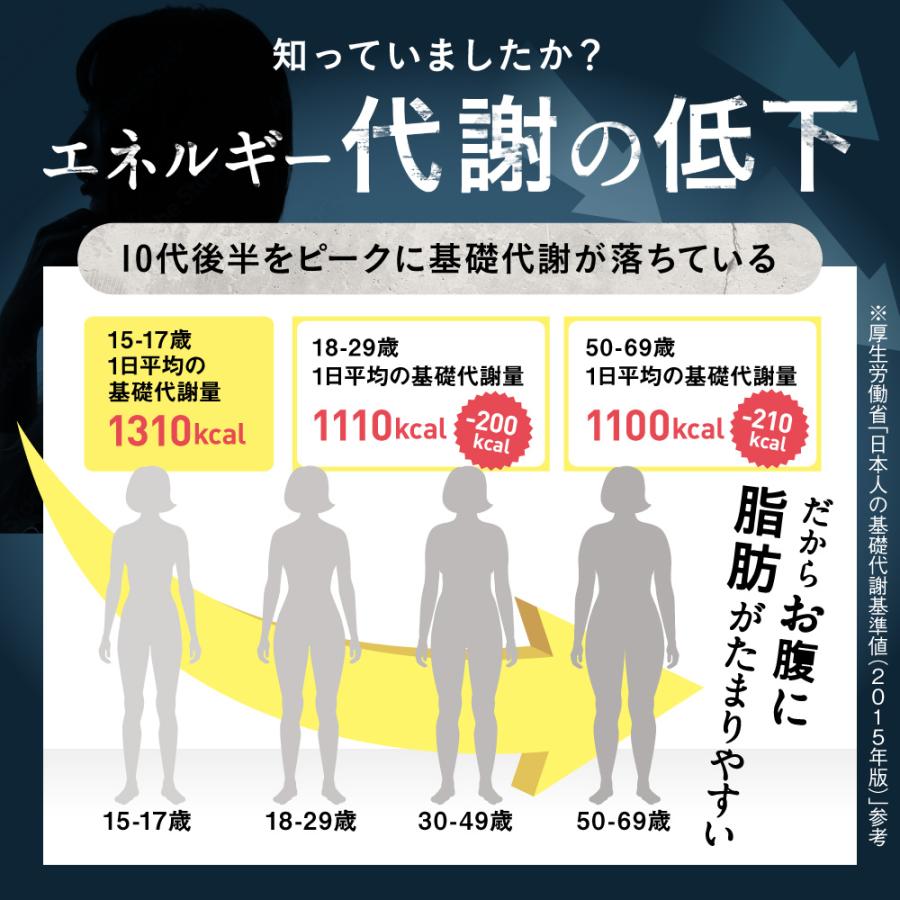 エルセーヌ⭐︎600 サプリ　代謝up ダイエット 楽天市場】【最大P5倍 5/23 20:00〜5/27 1:59限定】ダイエット 代謝