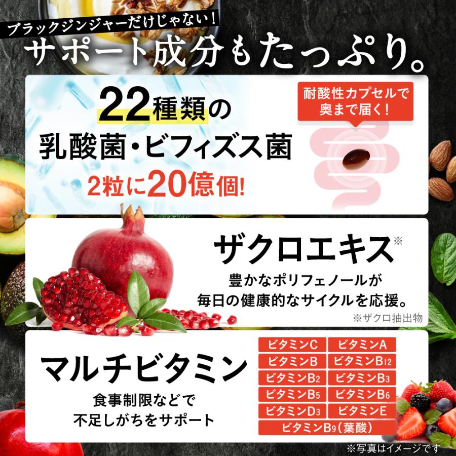 DISCO ダイエットサプリ ダイエット サプリ 脂肪燃焼 内臓脂肪 皮下脂肪 糖の吸収 運動中の脂肪