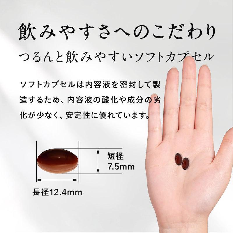 ダイエット サプリ お腹の脂肪 皮下脂肪を減らす ダイエットサポート サプリメント ブラックジンジャー 酪酸菌 機能性表示食品　Slamee スラミー ポイント利用 | aequalis | 14