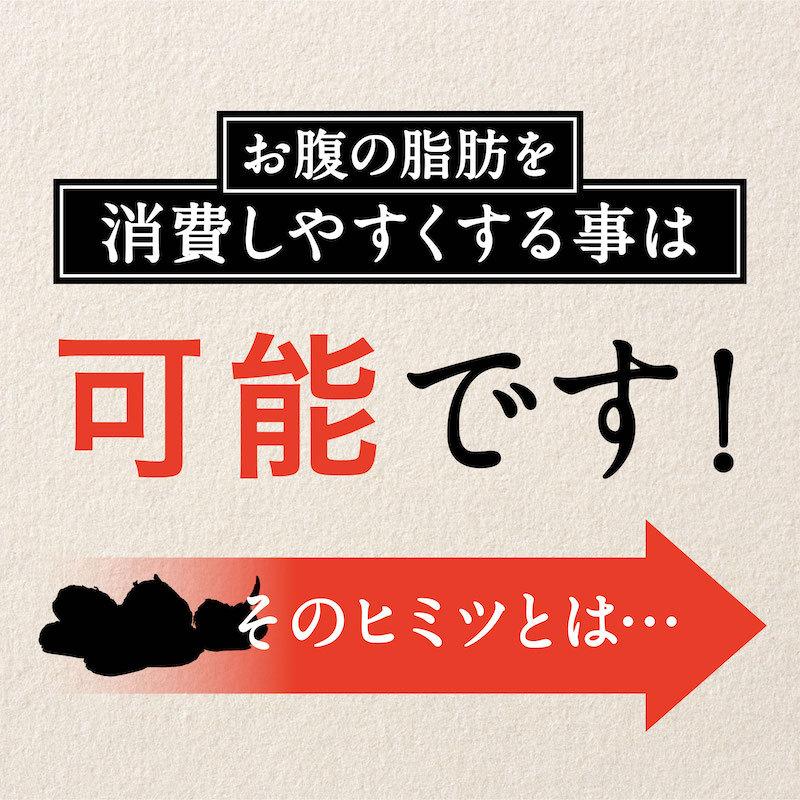 ダイエット サプリ お腹の脂肪 皮下脂肪を減らす ダイエットサポート サプリメント ブラックジンジャー 酪酸菌 機能性表示食品　Slamee スラミー ポイント利用 | aequalis | 04