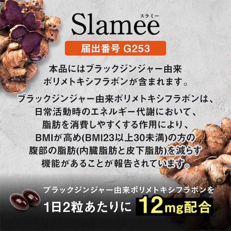 ダイエット サプリ お腹の脂肪 皮下脂肪を減らす ダイエットサポート サプリメント ブラックジンジャー 酪酸菌 機能性表示食品　Slamee スラミー ポイント利用 | aequalis | 06