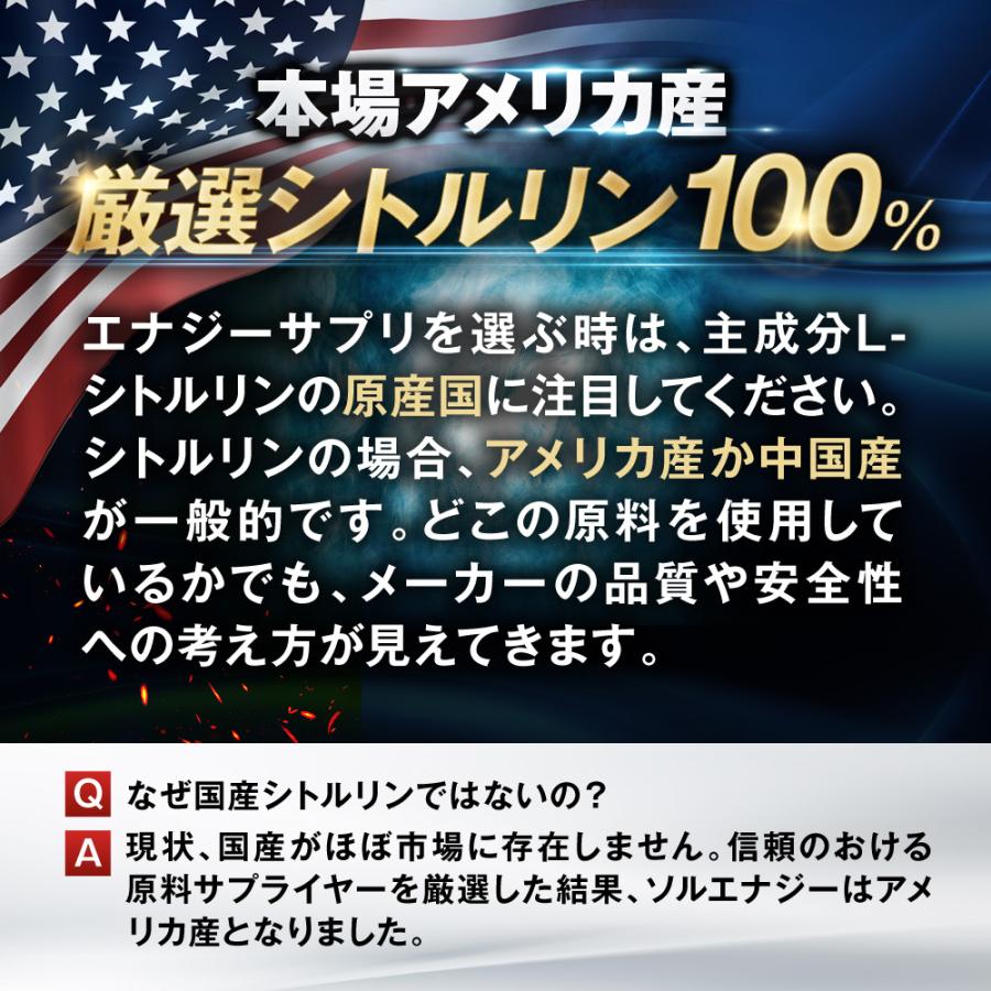 ソルエナジー シトルリン サプリメント 12袋セット 高品質シトルリン65754mg/1袋 アルギニン 亜鉛 マカ  栄養機能食品 180粒/1袋 爆買 | Mr.GINO | 02