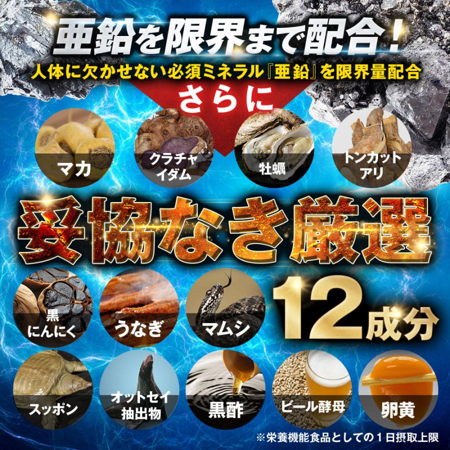 ソルエナジー シトルリン サプリメント 12袋セット 高品質シトルリン65754mg/1袋 アルギニン 亜鉛 マカ  栄養機能食品 180粒/1袋 爆買 | Mr.GINO | 05