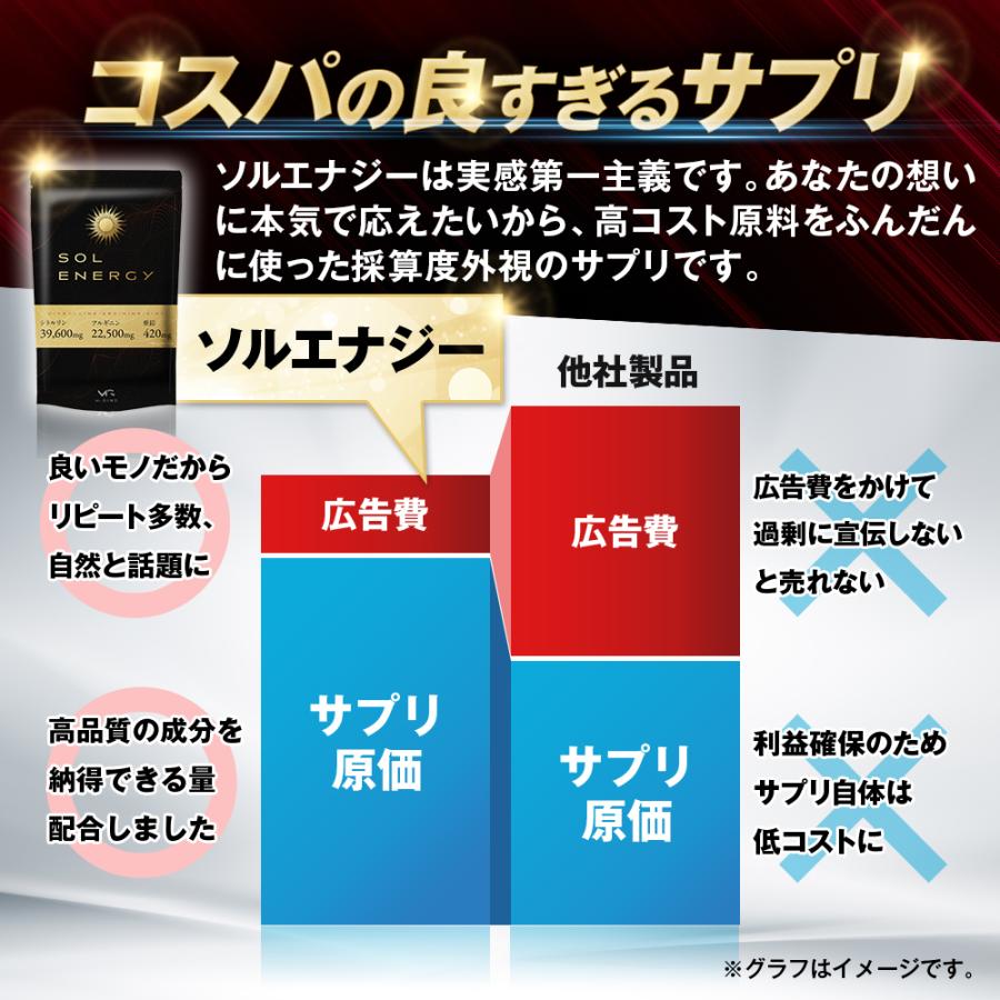 ソルエナジー シトルリン サプリメント 12袋セット 高品質シトルリン65754mg/1袋 アルギニン 亜鉛 マカ  栄養機能食品 180粒/1袋 爆買 | Mr.GINO | 07