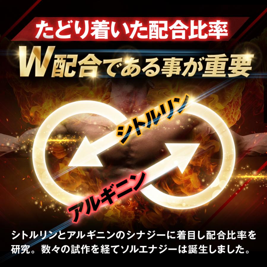 シトルリン サプリ シトルリン 亜鉛 アルギニン マカ タウリン ソルエナジー アミノ酸 サプリメント 180粒 ポイント利用 爆買 | aequalis | 05