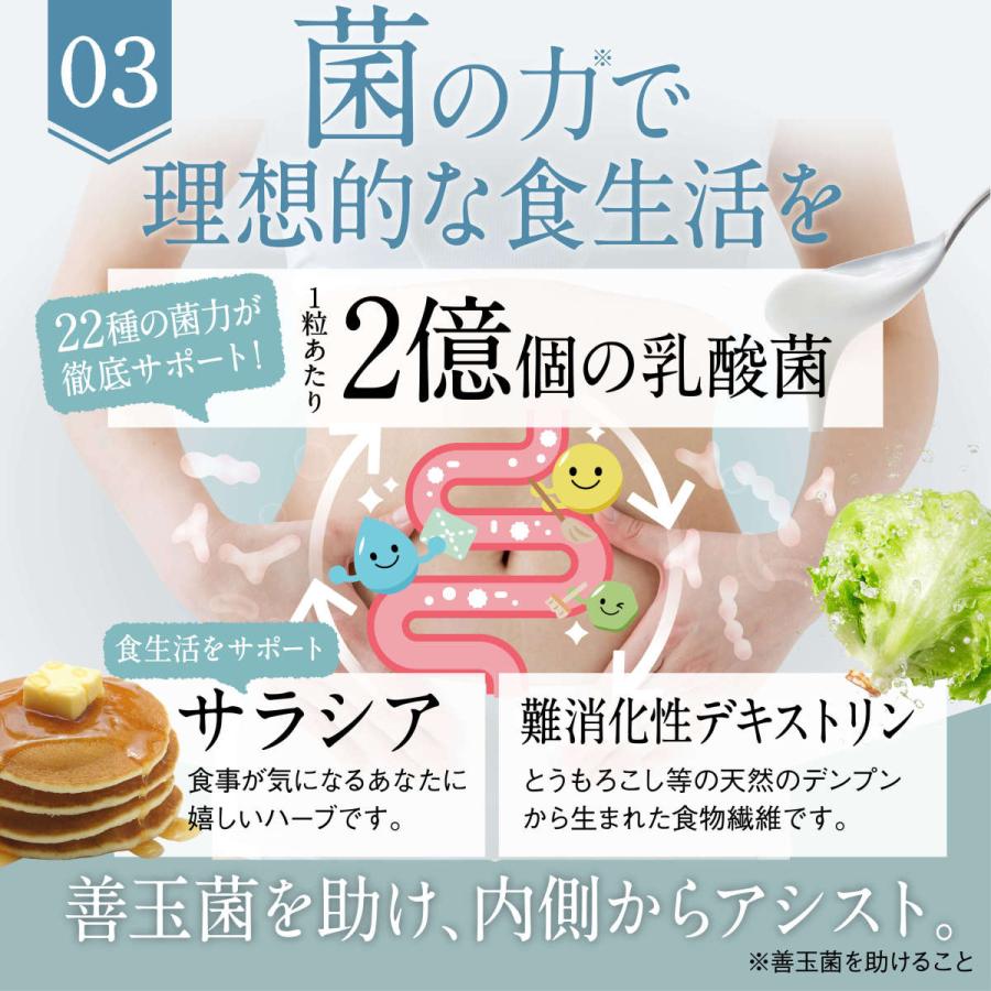 aequalis（イコリス） 酵素 サプリメント 炭酵素ファイバー 炭 酵素