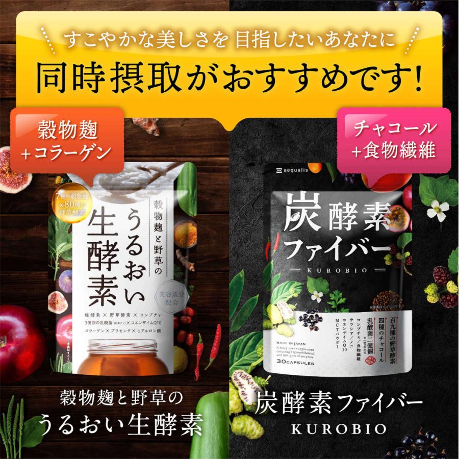 aequalis（イコリス） 炭酵素ファイバー 炭 酵素 サプリ 2袋セット