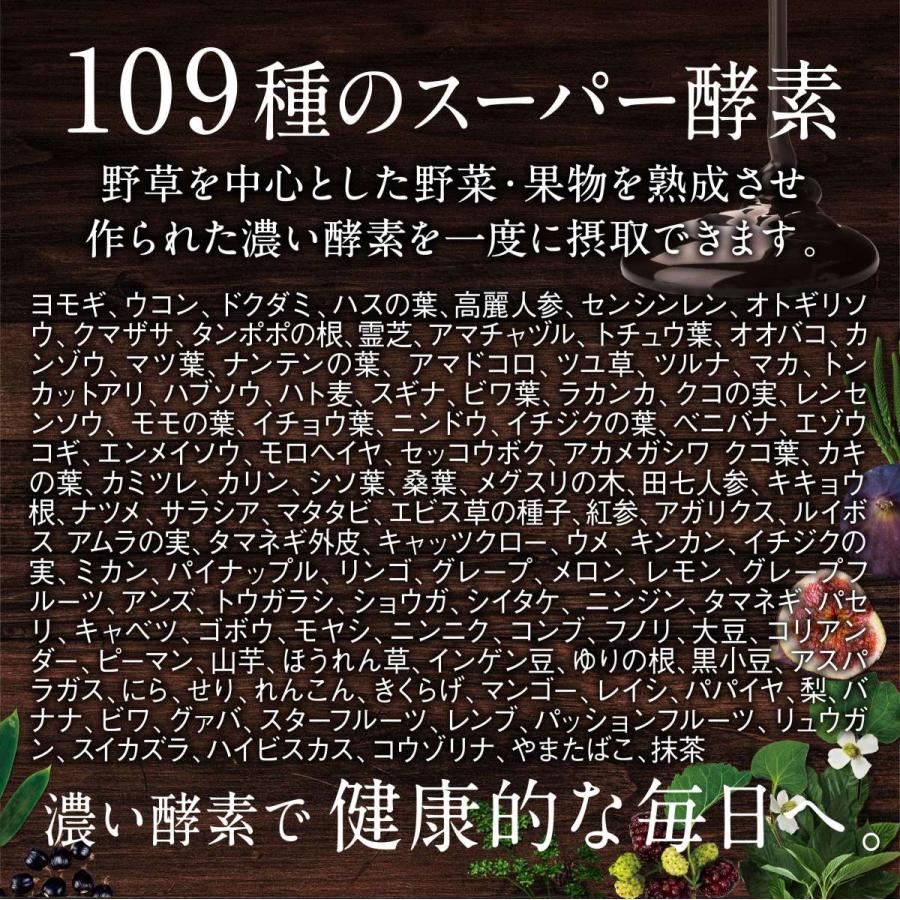 炭酵素ファイバー 炭 酵素 サプリ 2袋セット ノニ 乳酸菌 サラシア 食物繊維 コンブチャ｜aequalis｜08