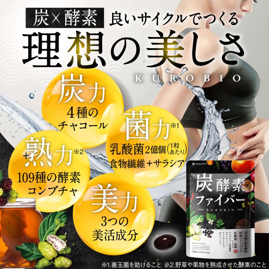 aequalis（イコリス） 炭酵素ファイバー 炭 酵素 サプリ 3袋セット