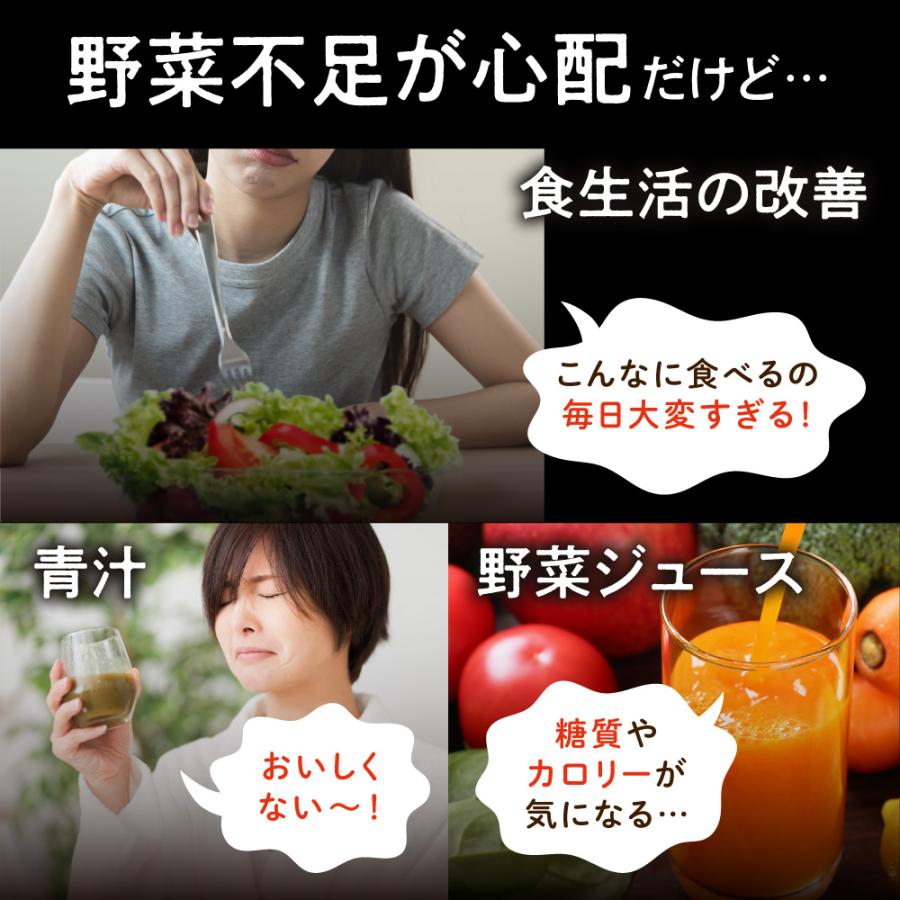 野菜サプリ ベジーグッド 国産野菜サプリ 24種類の野菜 スーパーフード マルチビタミン 野菜不足 30日分 ポイント利用 爆買 | aequalis | 08