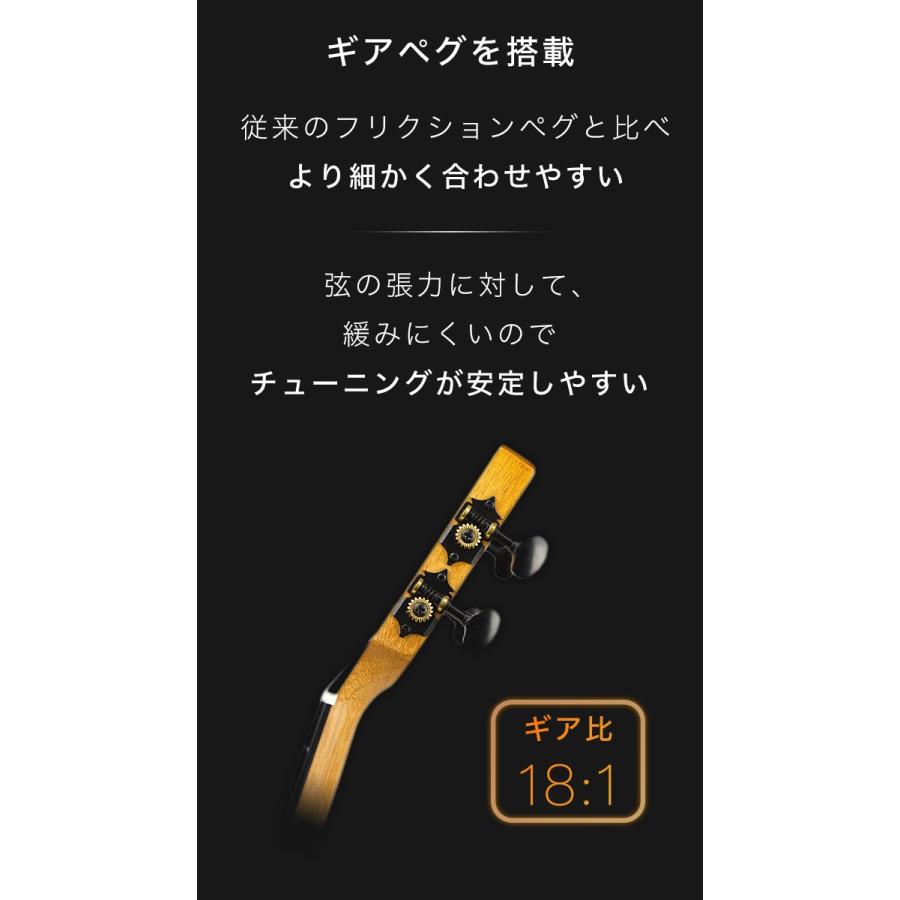 Aostin オースティン AT100 ウクレレ テナーサイズ ハワイアンコア